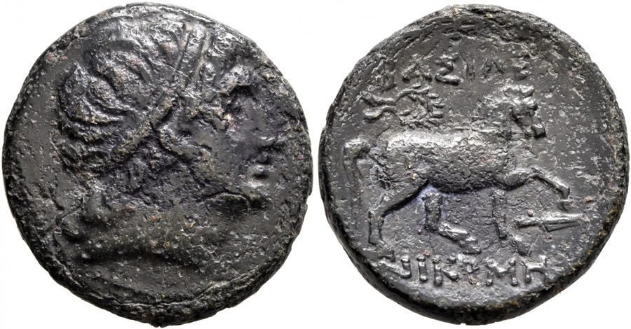 8906406.jpg