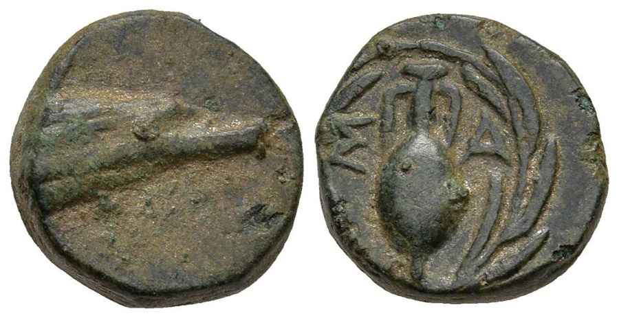 Agesilaos Antik Sikkeler Nümizmatik _SAMOS (4).jpg
