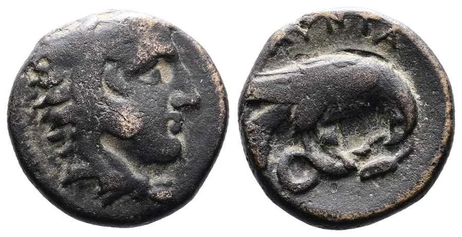 Agesilaos Antik Sikkeler Nümizmatik-AMY (9).webp