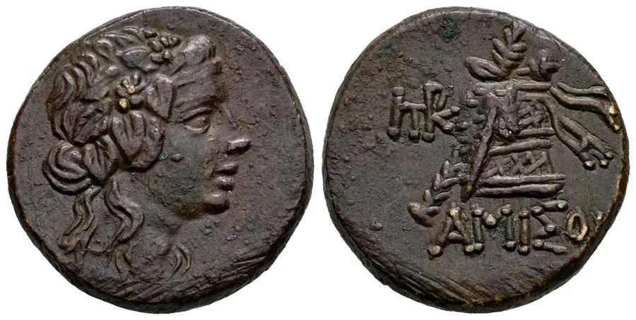 Agesilaos Antik Sikkeler Nümizmatik_Amisos Antik Kenti Sikkeleri (6).webp