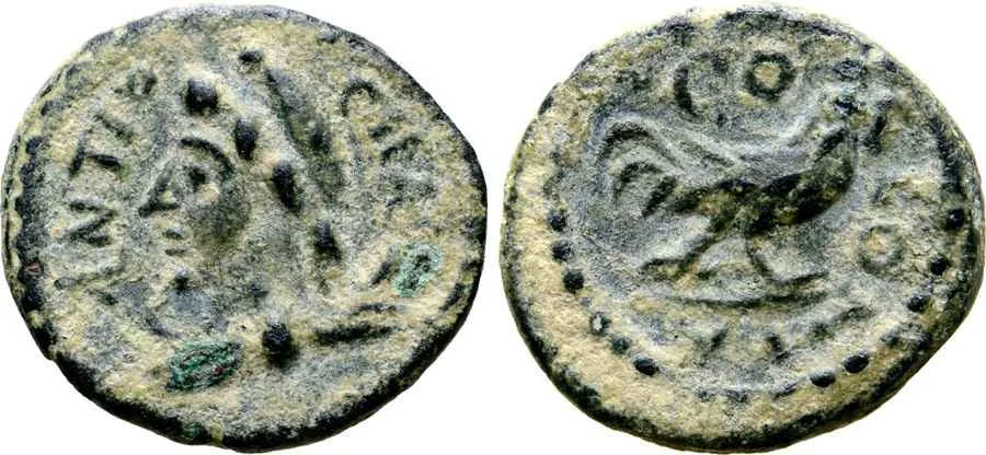 Agesilaos Antik Sikkeler Nümizmatik_ANTIOCH_PISIDIA (50).webp