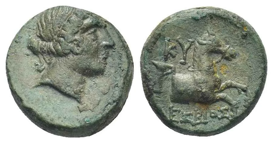 Agesilaos Antik Sikkeler Nümizmatik_KY (3).webp