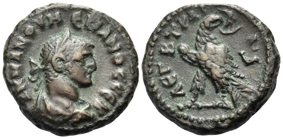 Agesilaos Antik Sikkeler Nümizmatik_NUM (5).webp