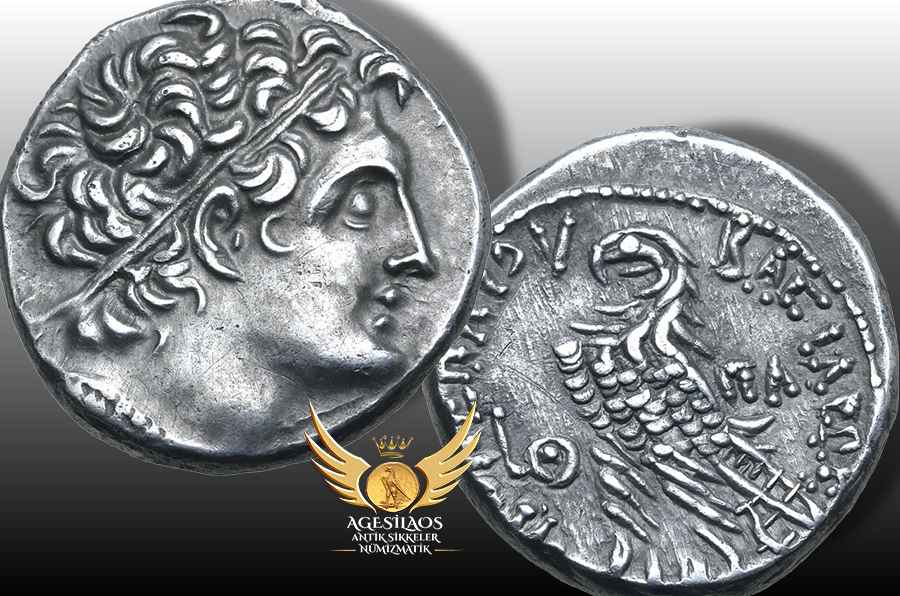 Ptolemy VIII ve Kleopatra III'ün en büyük oğlu, babası öldüğünde [MÖ 116] annesinin eş yöneticisi olan, ancak kısa süre sonra annesinin güç oyunlarında bir piyon olan Ptolemy IX Soter. 