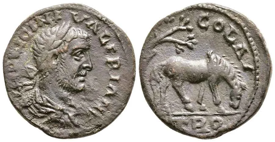 Agesilaos Antik Sikkeler Nümizmatik_Valerianus Sikkeleri (22).webp