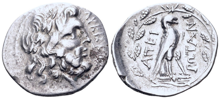 ANTİK SİKKELER NÜMİZMATİK_EP4 (4).jpg